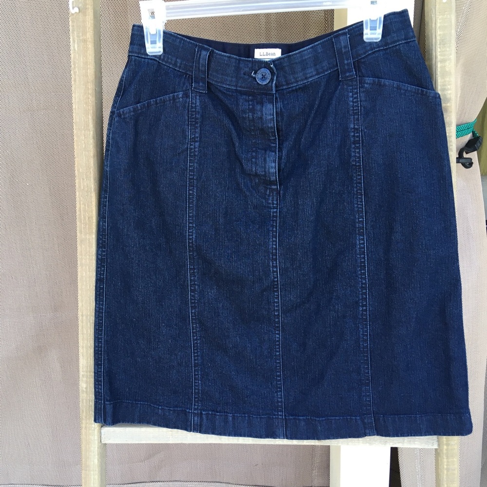L.L. Bean Dark Blue Western Country Festival Skirt SZ 10